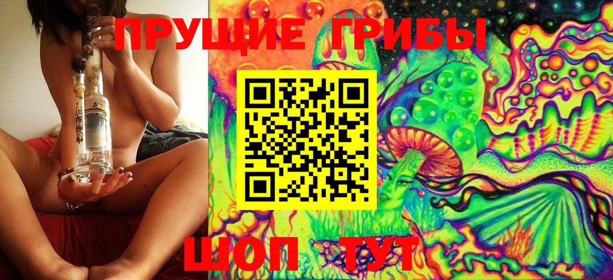 Псилоцибиновые грибы Cubensis Фрязино