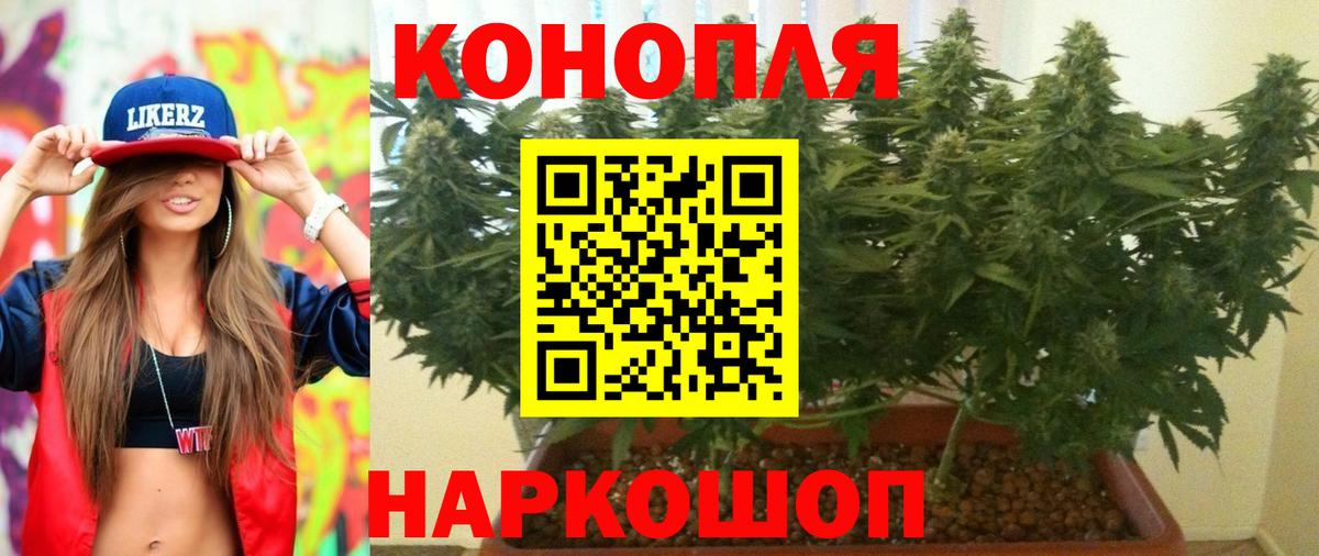 Бошки марихуана OG Kush  МАРИХУАНА VHQ  Фрязино  Бошки Шишки планчик  Вход с VPN  Бошки марихуана Amnesia 